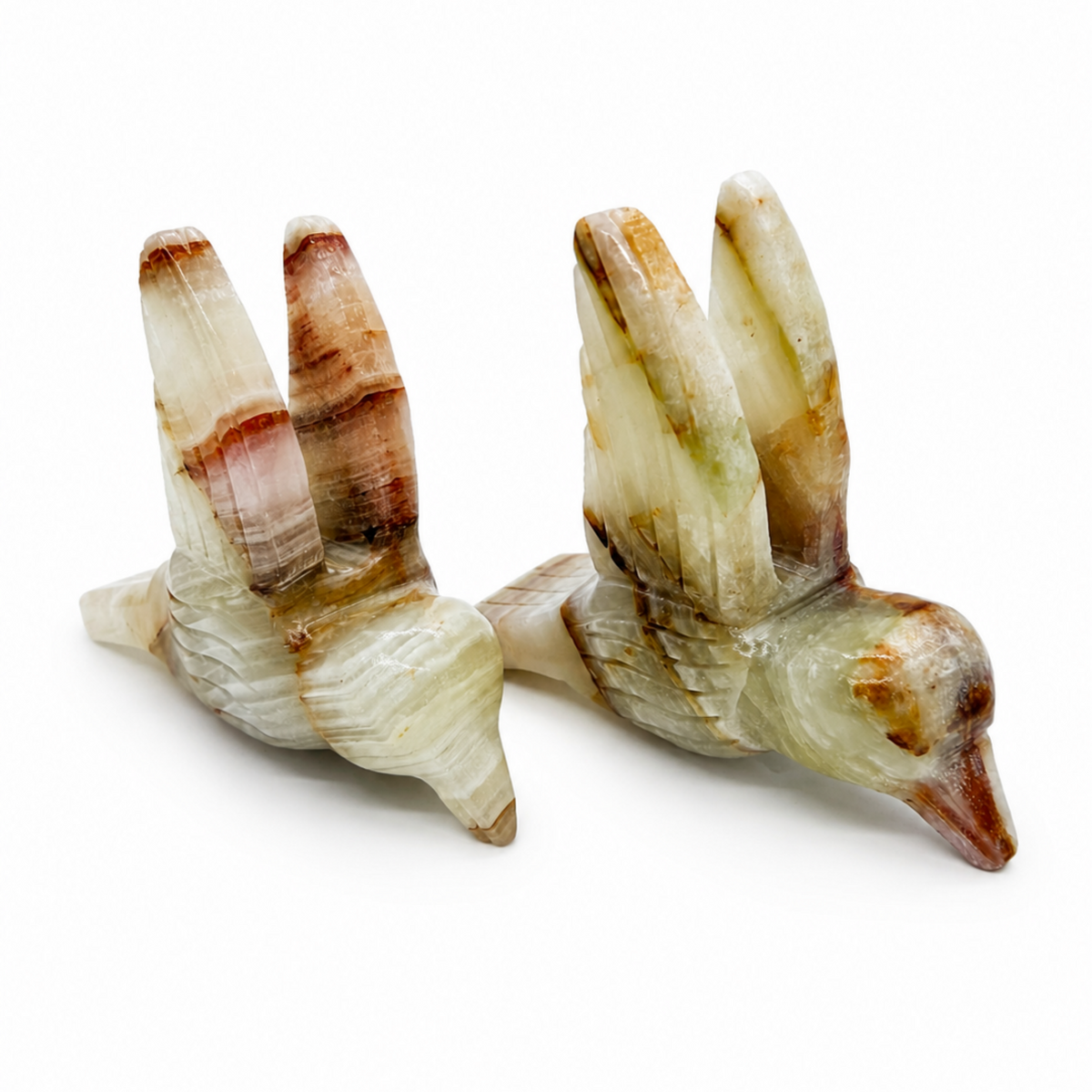 Banded Onyx Hummingbird