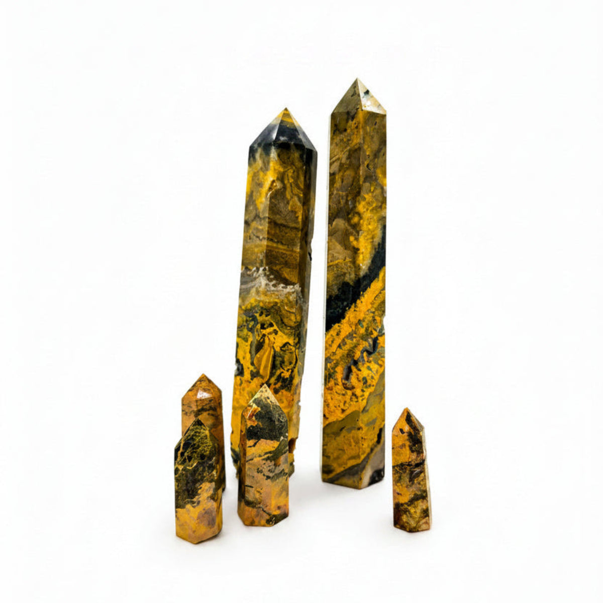 Bumblebee Jasper