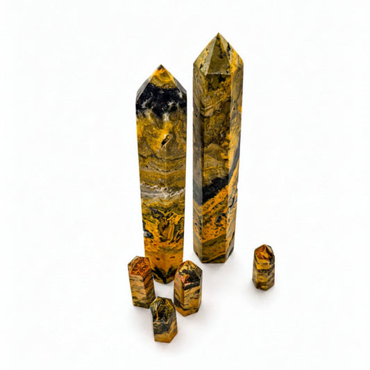 Bumblebee Jasper