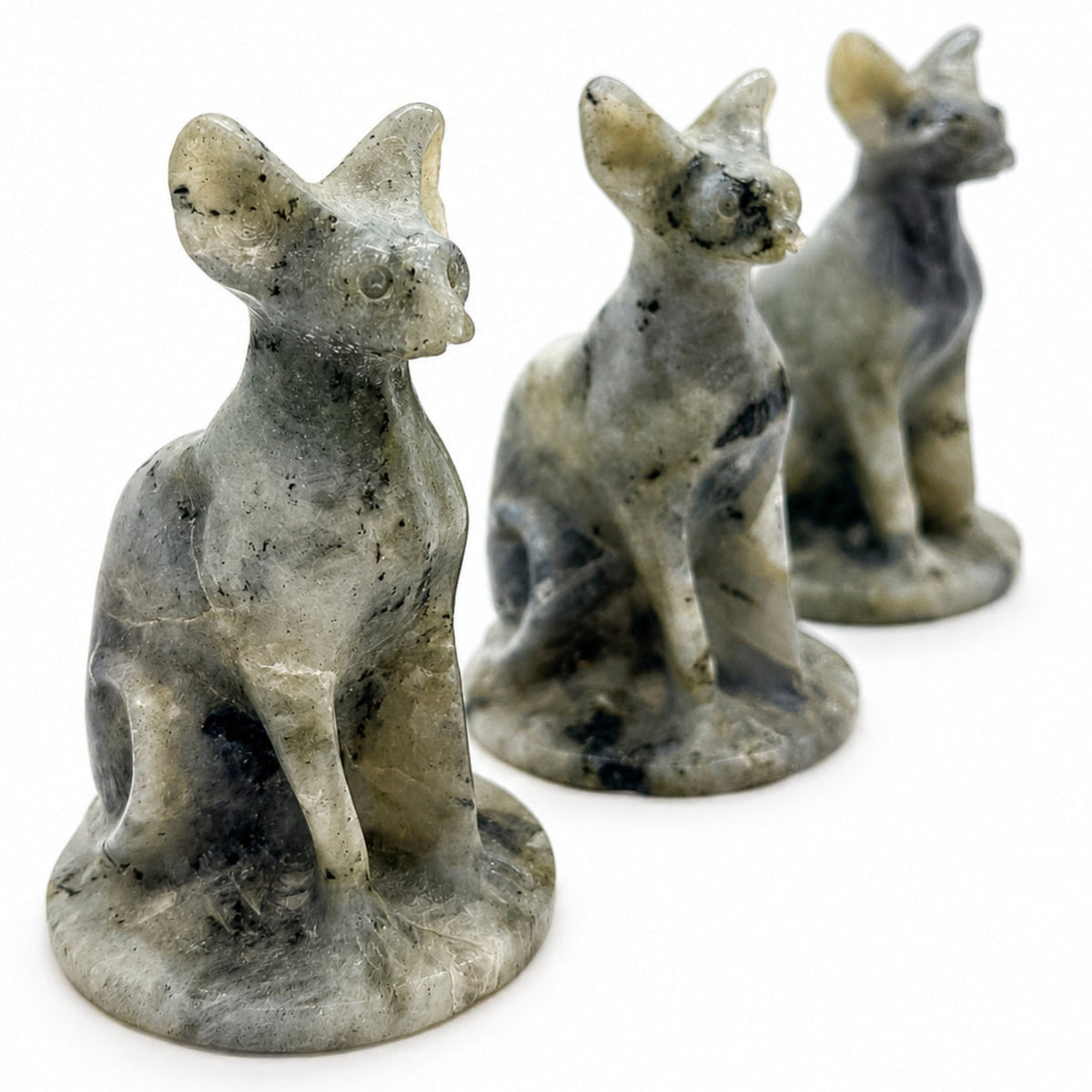 Labradorite Sphynx Cat