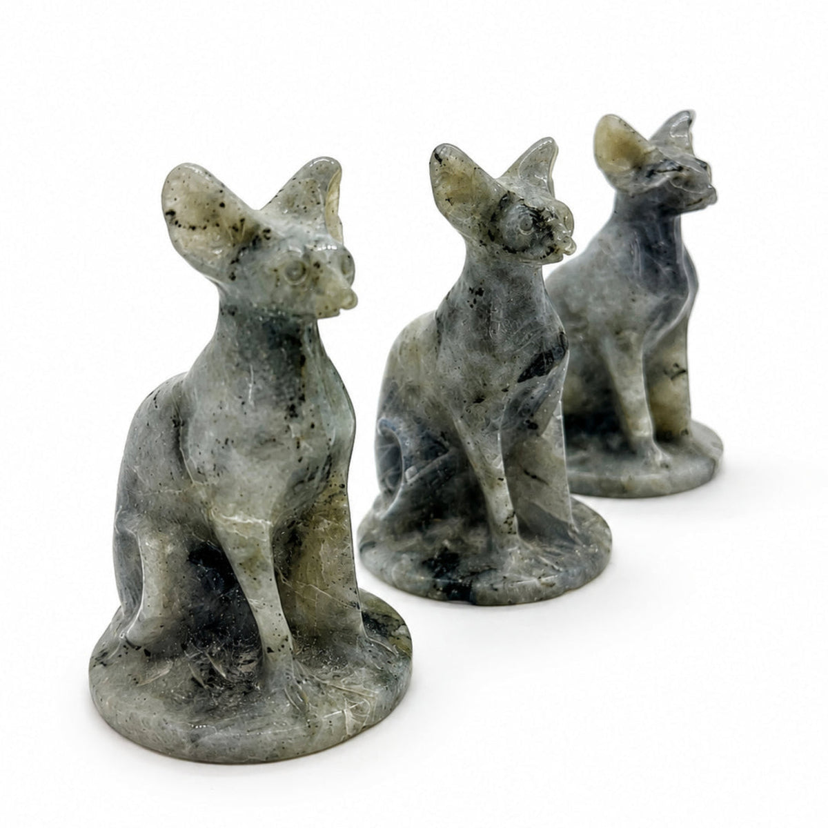 Labradorite Sphynx Cat