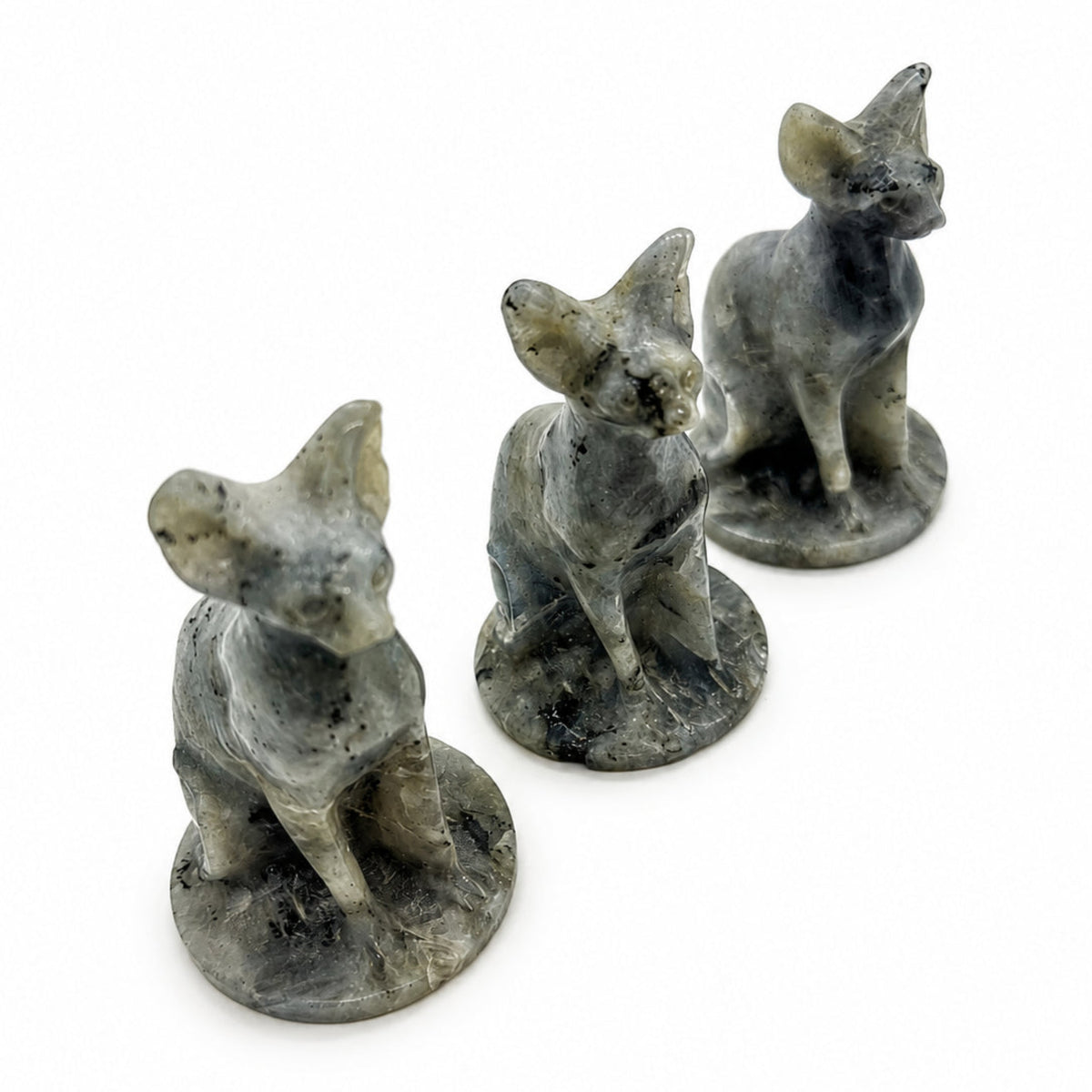 Labradorite Sphynx Cat