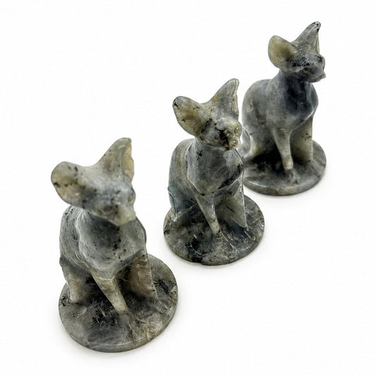 Labradorite Sphynx Cat