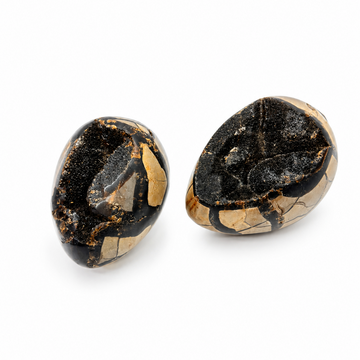 Septarian Egg
