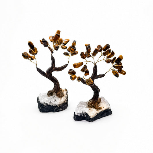 Tiger's Eye Tree of Life