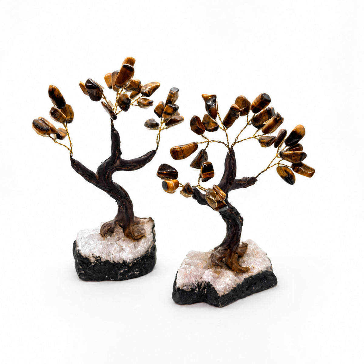 Tiger's Eye Tree of Life